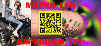 PSILOCYBIN Гатчина