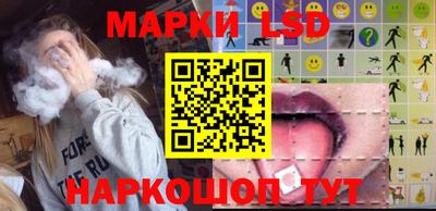 PSILOCYBIN Гатчина