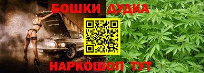 PSILOCYBIN Гатчина