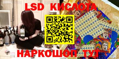 PSILOCYBIN Гатчина