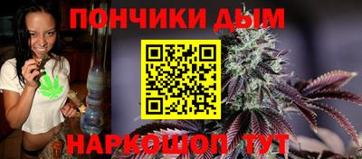 крисы Гай