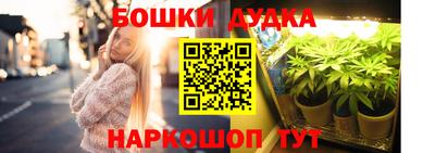 крисы Гай