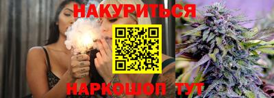 PSILOCYBIN Гатчина