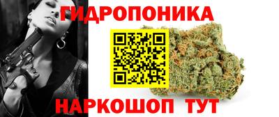 PSILOCYBIN Гатчина
