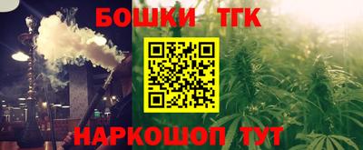 PSILOCYBIN Гатчина